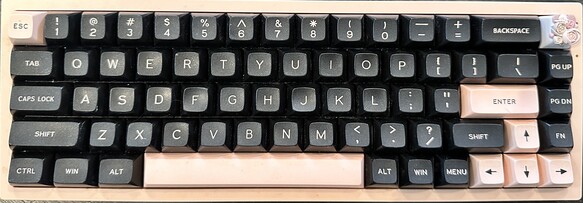 NK65 Olivia