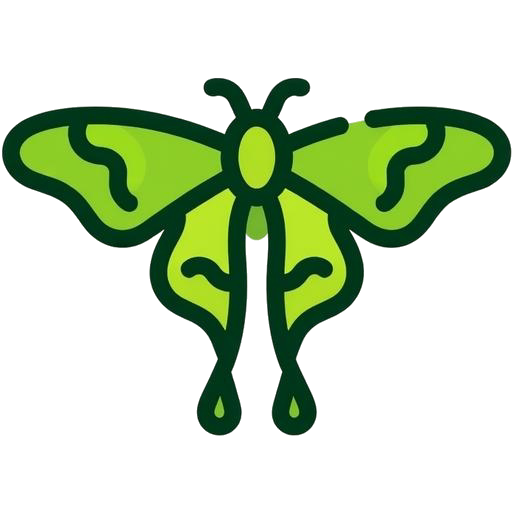 Luna Moth